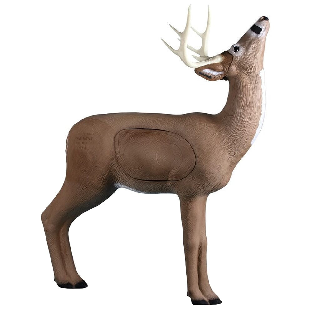 Rinehart Browsing Buck Archery Target 129