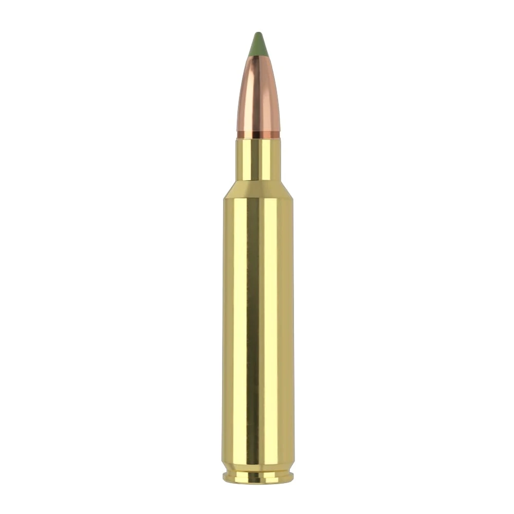 Nosler E-Tip ETA-30 Nosler 180g ET SP (20ct) Ammunition 40330