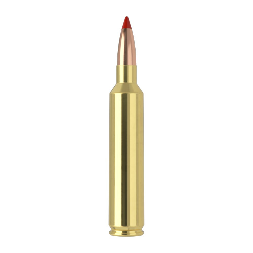 Nosler Ballistic Tip BTA-26 Nosler 140g BT SP (20ct) Ammunition 43459