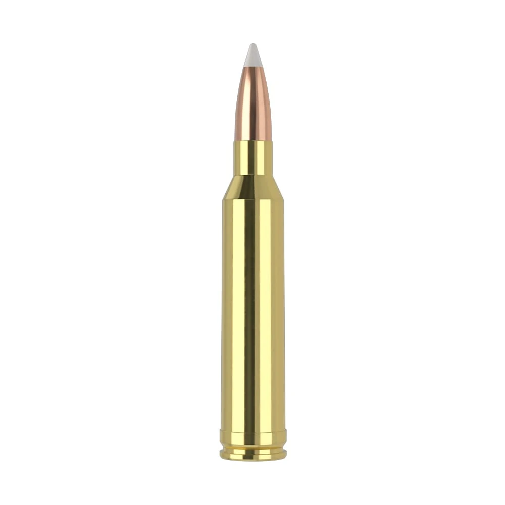 Nosler Trophy Grade TGA-7mm Rem Mag 160g AB SP (20ct) Ammunition 47284