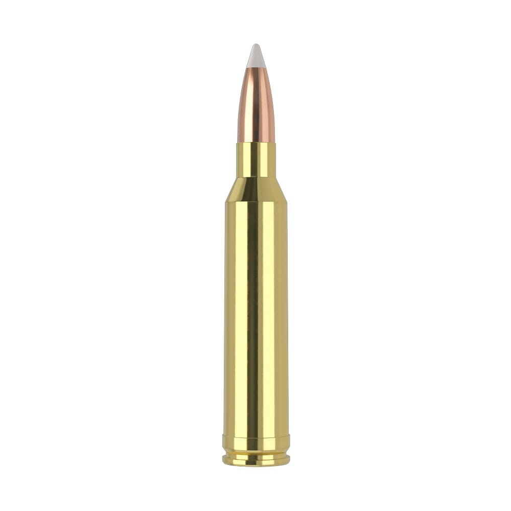 Nosler Trophy Grade TGA-7mm Rem Mag 160g AB SP (20ct) Ammunition 47284