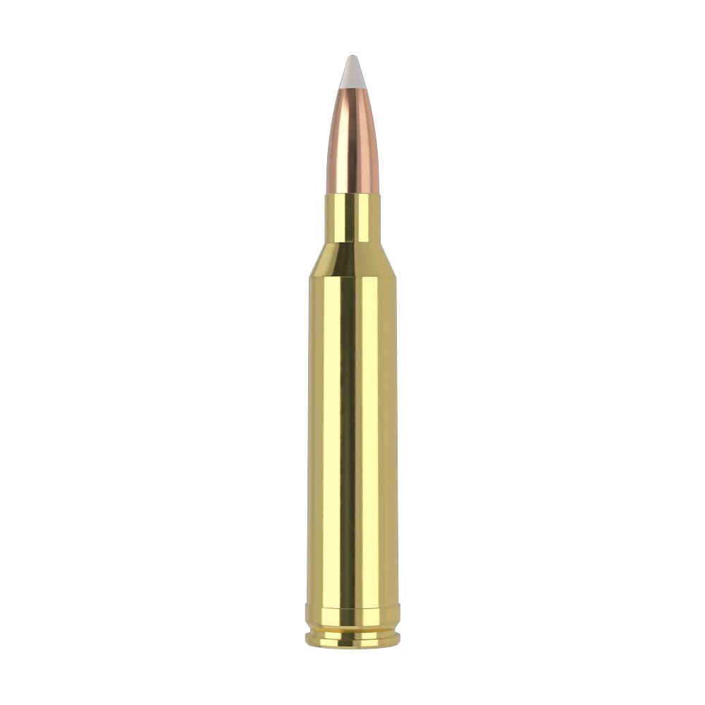 Nosler Trophy Grade TGA-7mm Rem Mag 140g AB SP (20ct) Ammunition 60033