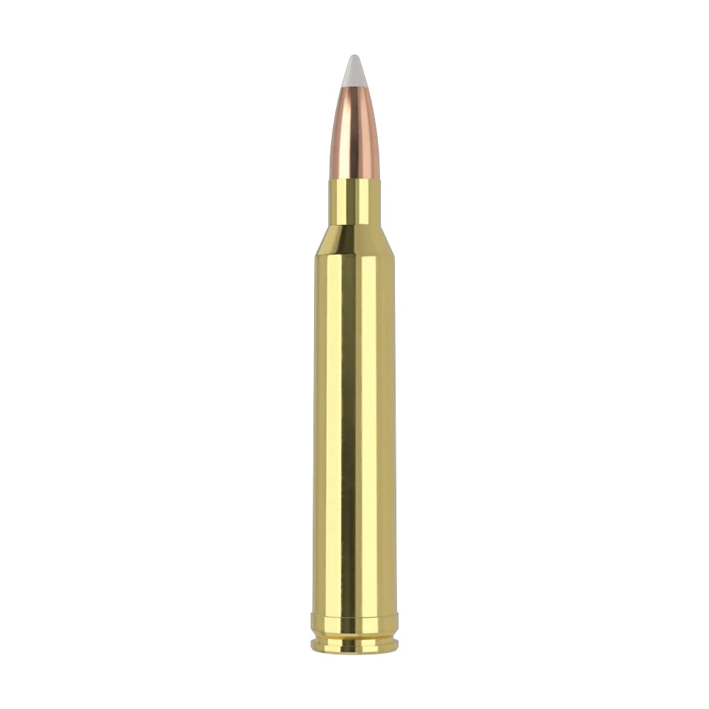 Nosler Trophy Grade TGA-7mm STW 160g AB SP (20ct) Ammunition 60047