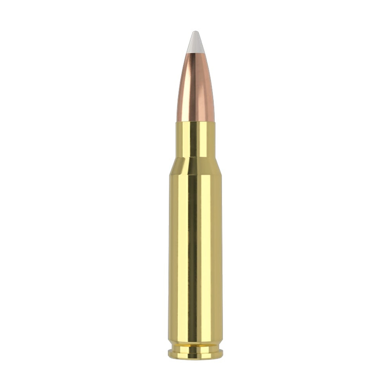 Nosler Trophy Grade TGA-308 Win 165g AB SP (20ct) Ammunition 60049