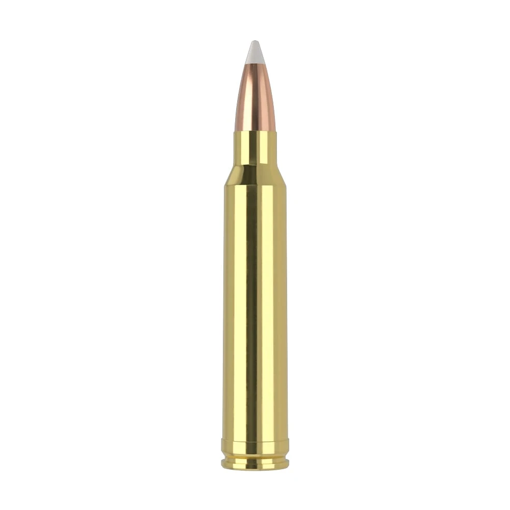 Nosler Trophy Grade TGA-300 Win Mag 180g AB SP (20ct) Ammunition 60059