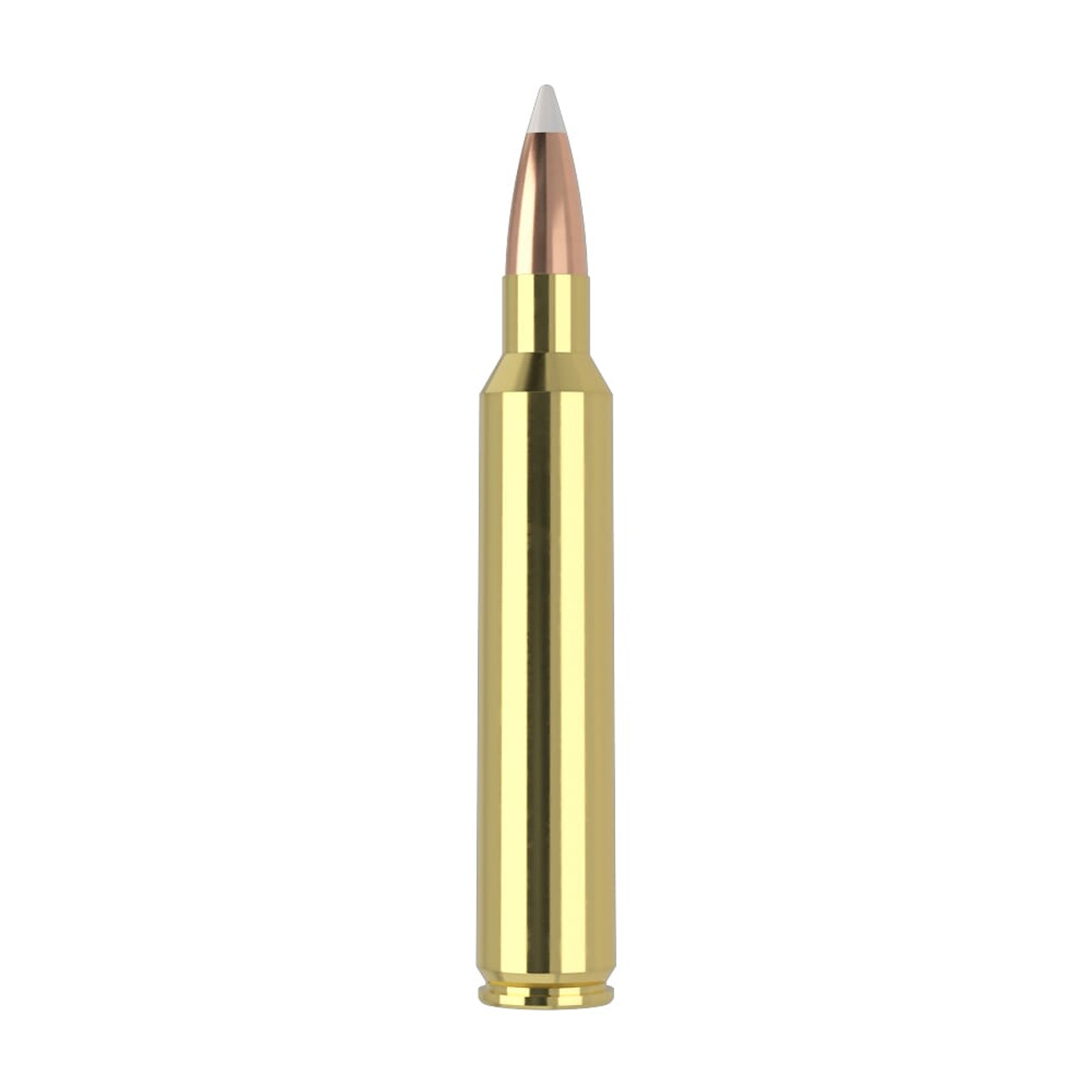 Nosler Trophy Grade TGA-300 RUM 180g AB SP (20ct) Ammunition 60065