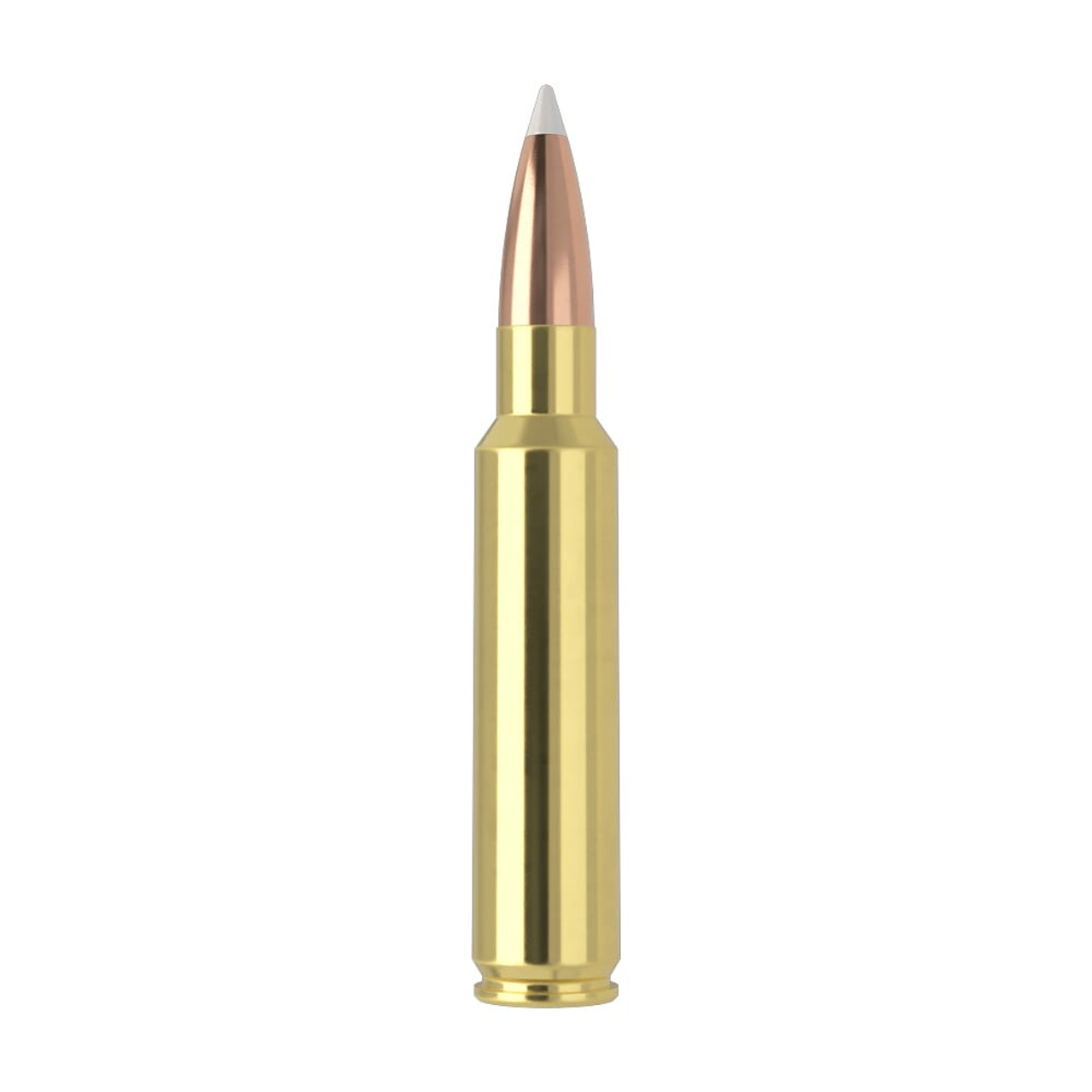 Nosler Trophy Grade TGA-33 Nosler 225g AB SP (20ct) Ammunition 60098