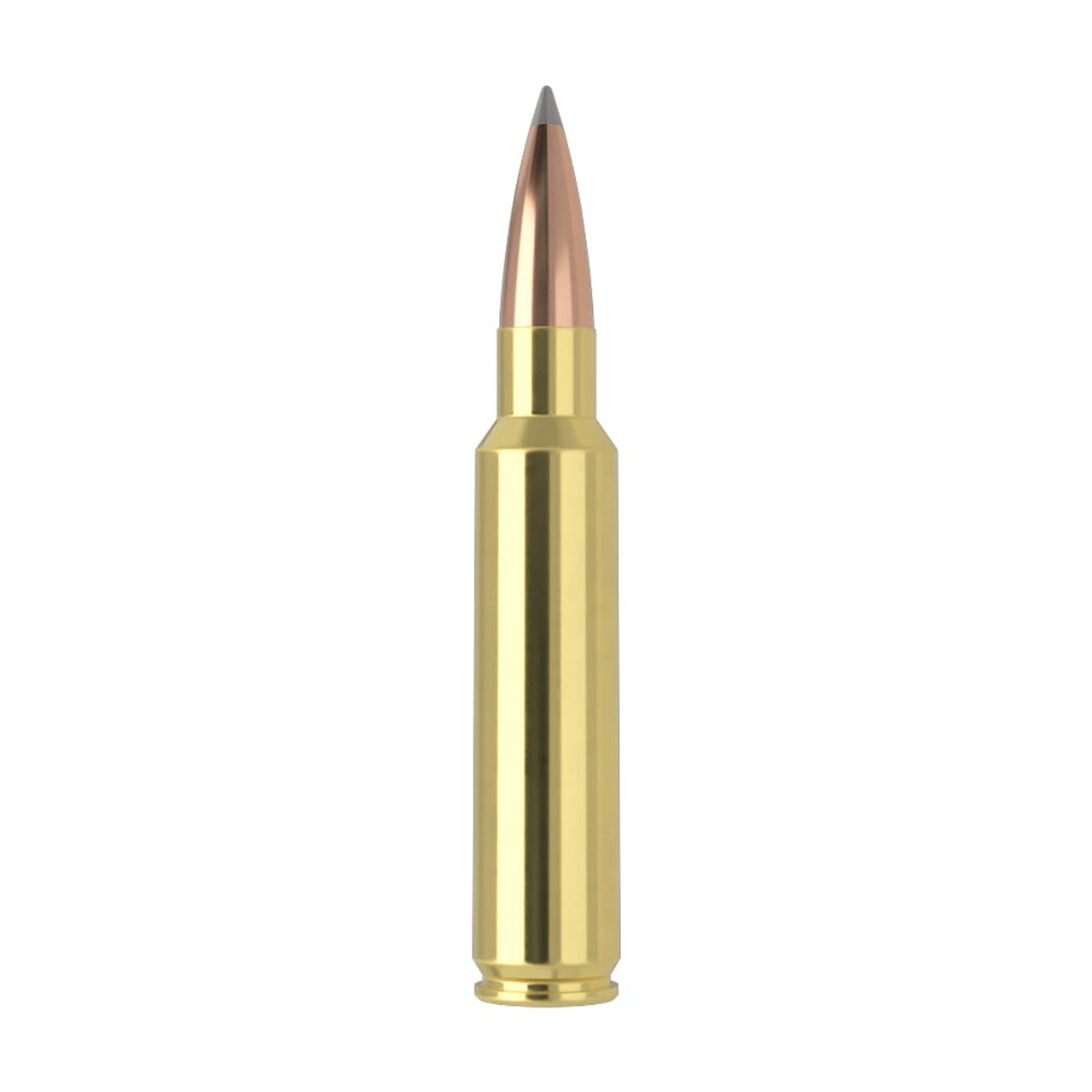 Nosler Trophy Grade (Long Range) TGA-33 Nosler 265g ABLR SP (20ct) Ammunition 60099