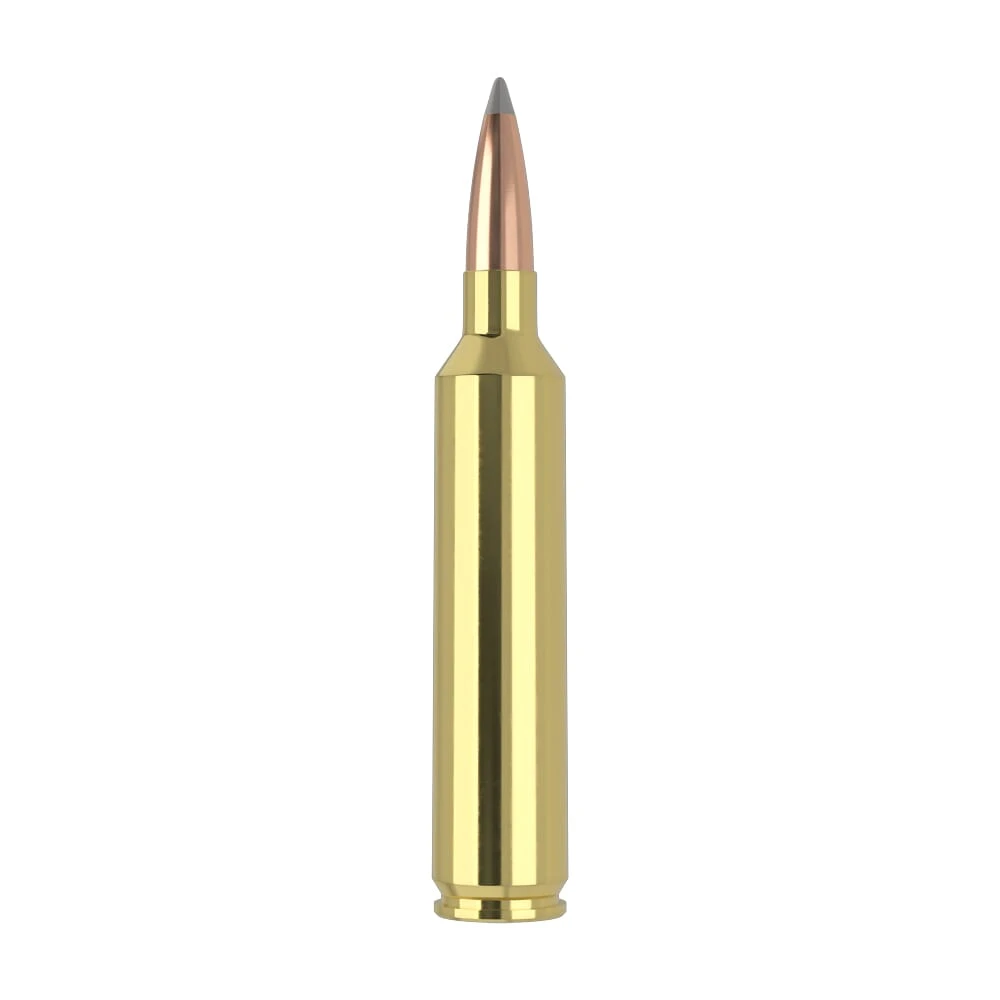 Nosler Trophy Grade (Long Range) TGA-26 Nosler 129g ABLR SP (20ct) Ammunition 60110