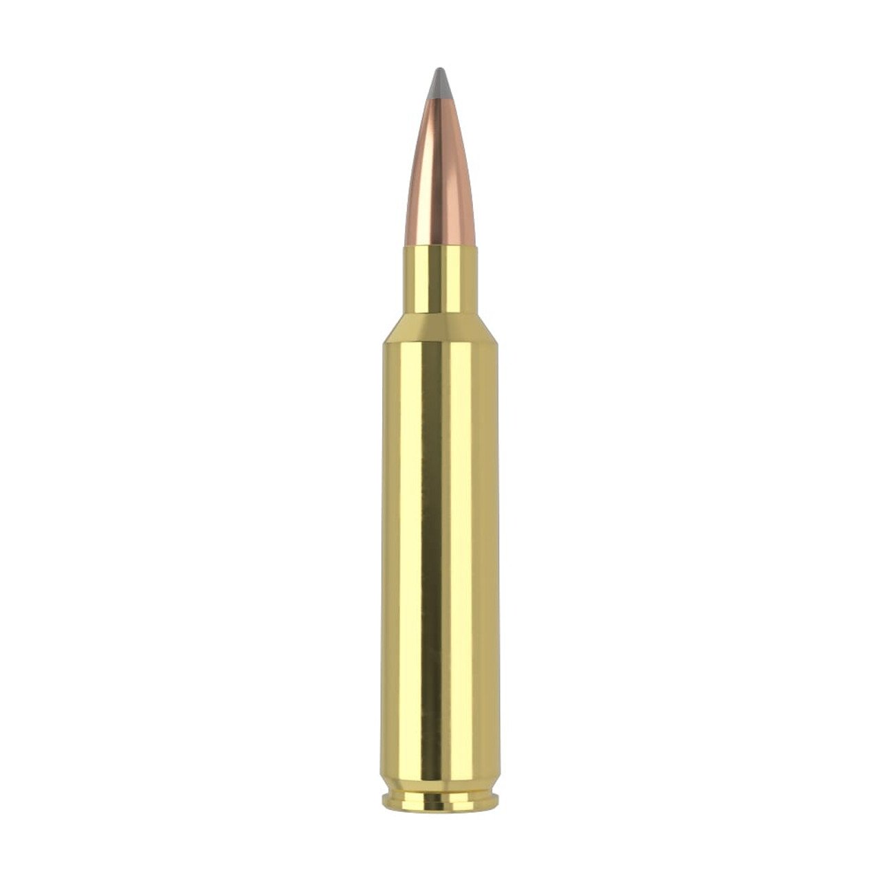 Nosler Trophy Grade (Long Range) TGA-30 Nosler 210g ABLR SP (20ct) Ammunition 60118