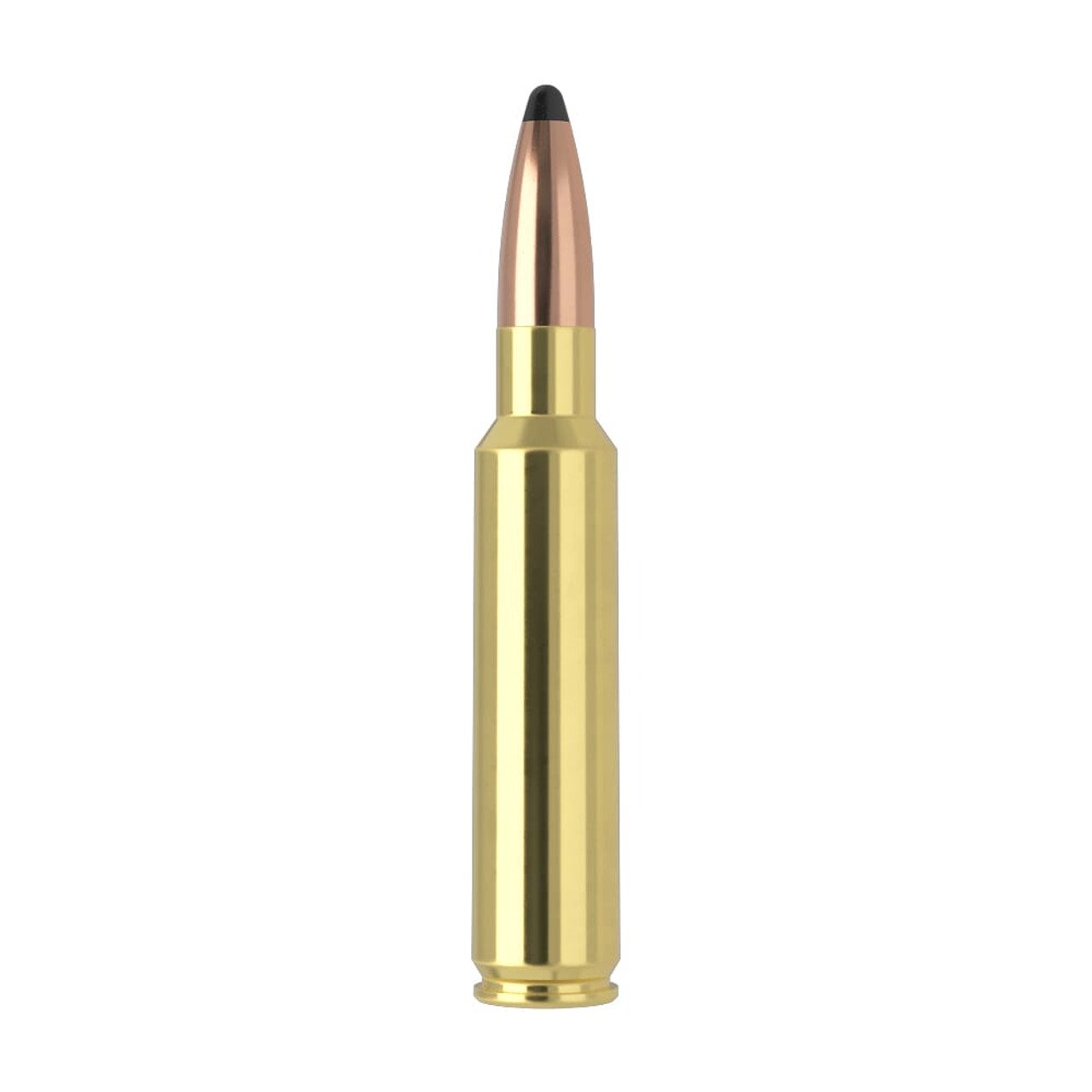 Nosler Trophy Grade TGA-33 Nosler 250g PT SP (20ct) Ammunition 60134