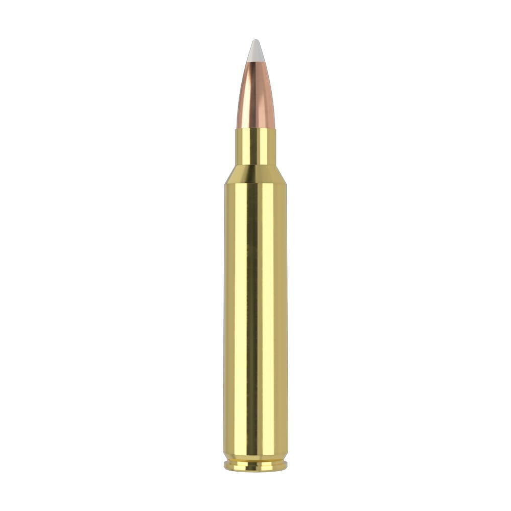 Nosler Trophy Grade TGA-300 RUM 200g AB SP (20ct) Ammunition 60165
