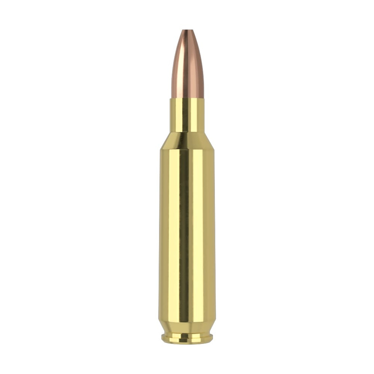 Nosler Varmageddon VGA-22 Nosler 62g VG HPFB (50ct) Ammunition 65180