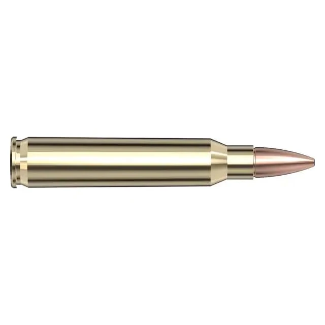 Hornady Frontier .223 Rem 55gr FMJ Oriented Ammunition (50/Box) FR1005