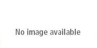 Talley Manufacturing Talley SS 30mm QD Screw Lock Medium Scope Rings SS400004 - Talley Manufacturing