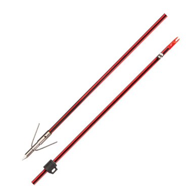 Cajun Wasp Arrow w/Piranha Point XT ABF4912 - Cajun