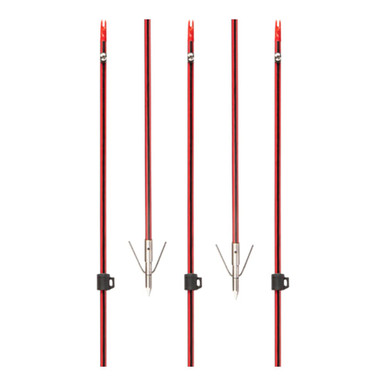 Cajun Wasp Arrow w/Piranha Long Barb XT ABF4961 - Cajun