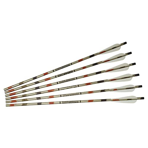 Excalibur Aluminum 20" XX75 Arrows 6pk 2219V20-6 - Excalibur