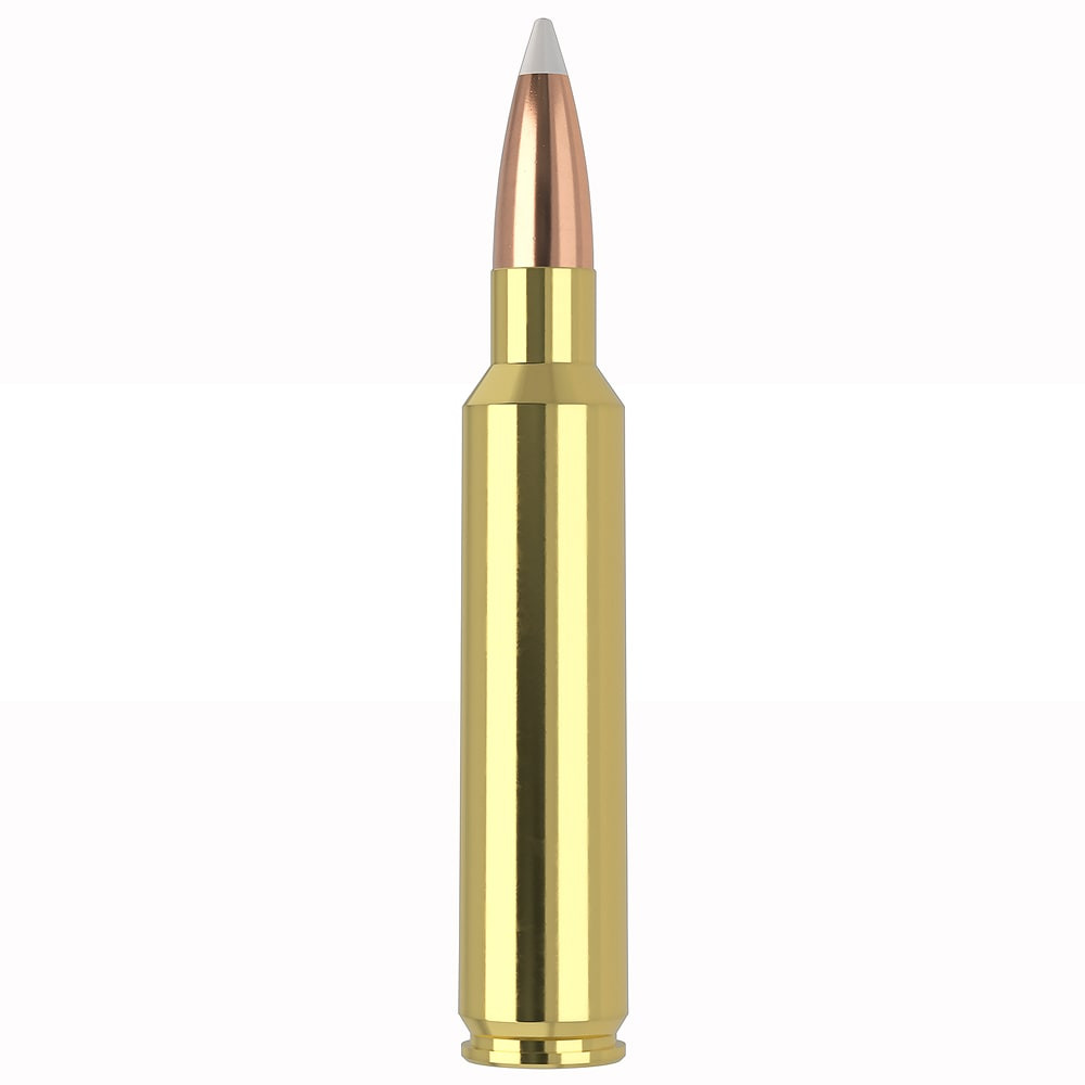 Nosler Trophy Ammunition 30 180gr AccuBond 20 Round Box 60117