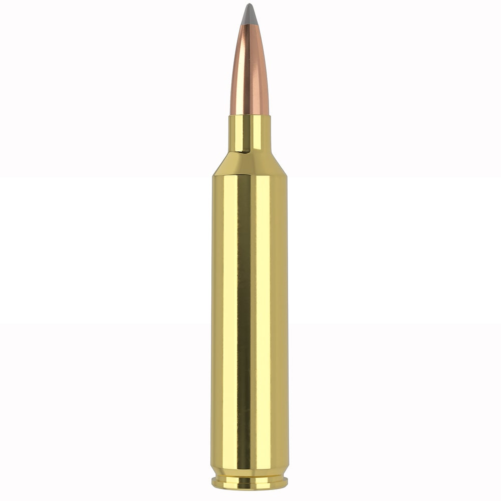 Nosler Trophy Long Range 26 142gr AccuBond 20 Round Box 60122
