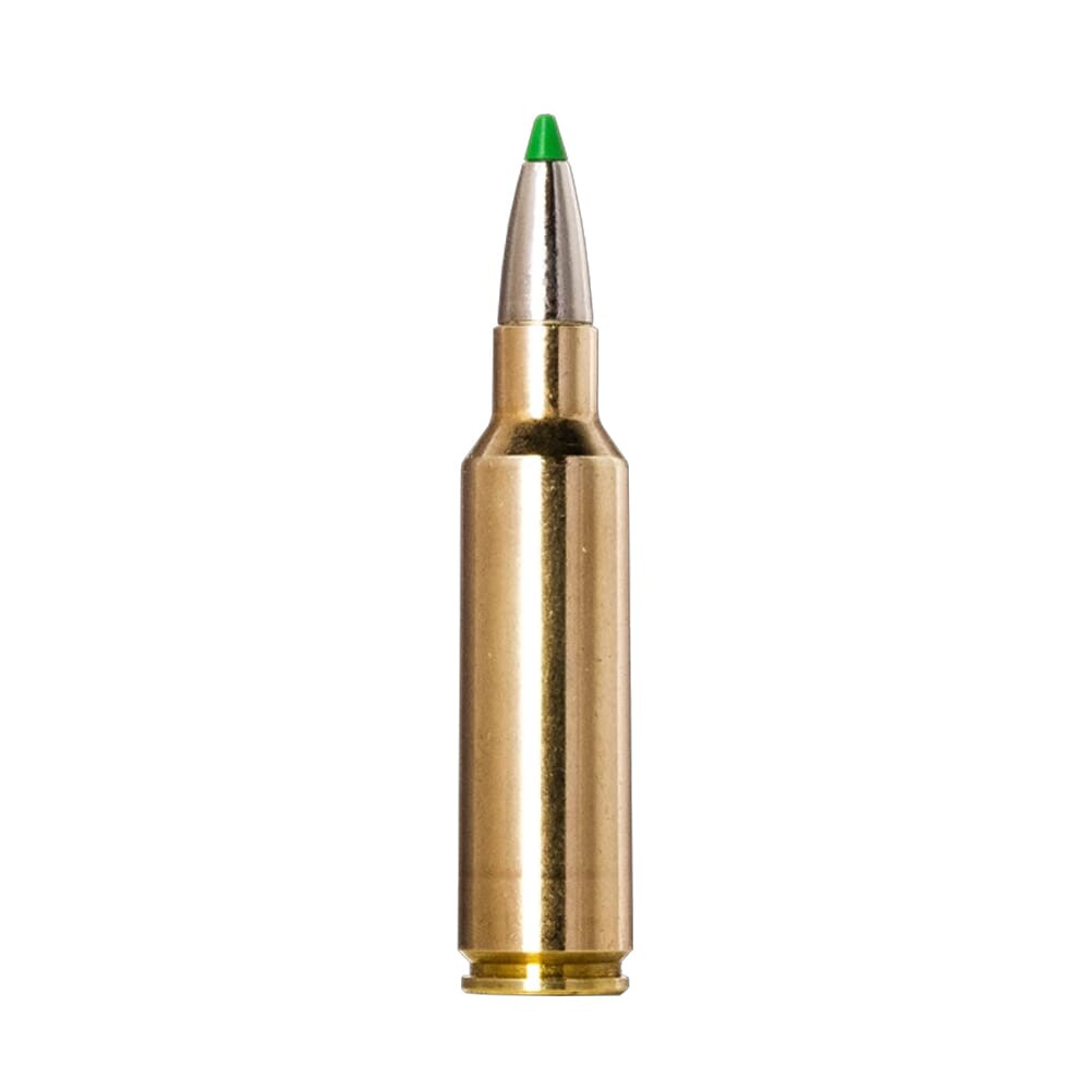 Norma Ammo Norma ECOSTRIKE 300 WSM 165gr Centerfire Rifle Ammo (20/box) 20177512 - Norma Ammo