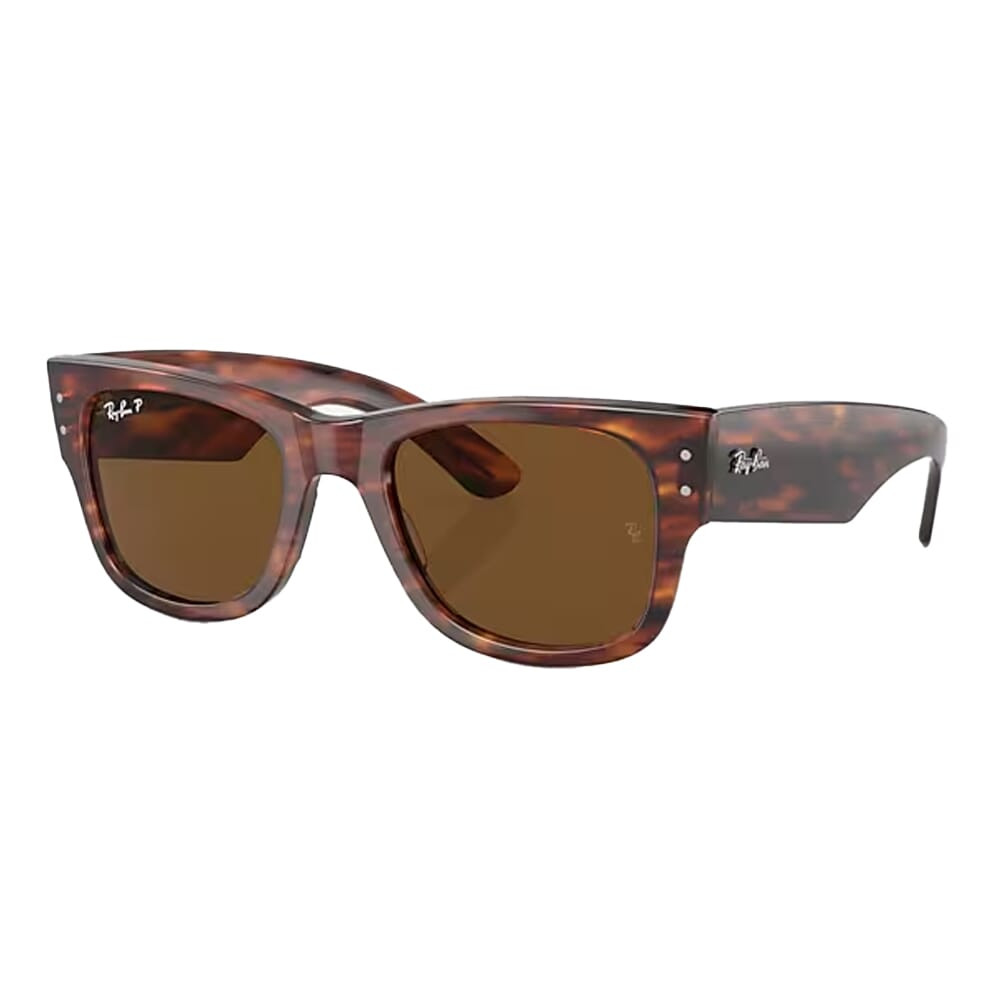 Ray-Ban Mega Wayfarer Glasses Striped Havana Brown Polar 0RB0840S-9545751 - Ray-Ban