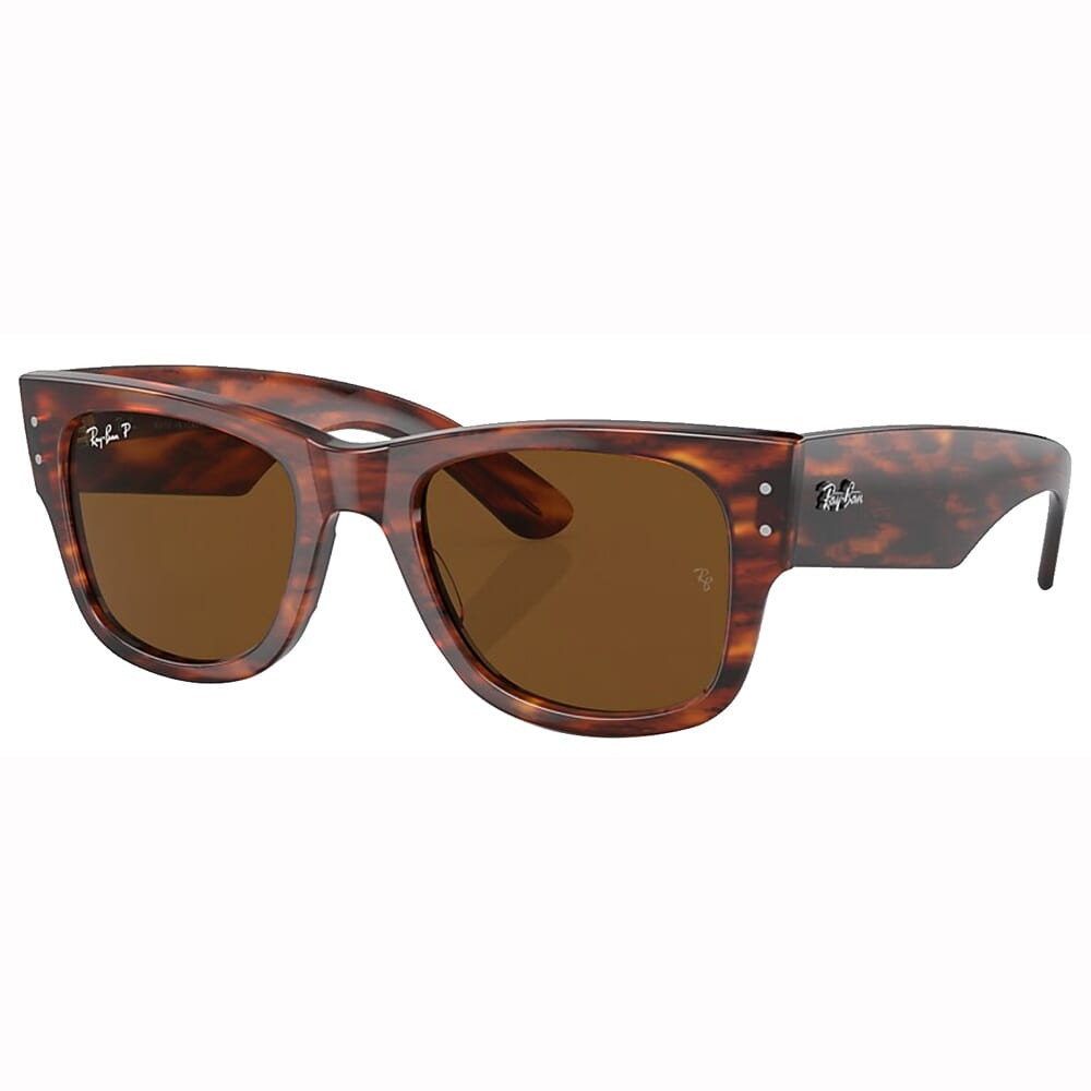 Ray-Ban Mega Wayfarer Glasses Striped Havana Brown Polar 0RB0840SF-9545752 - Ray-Ban