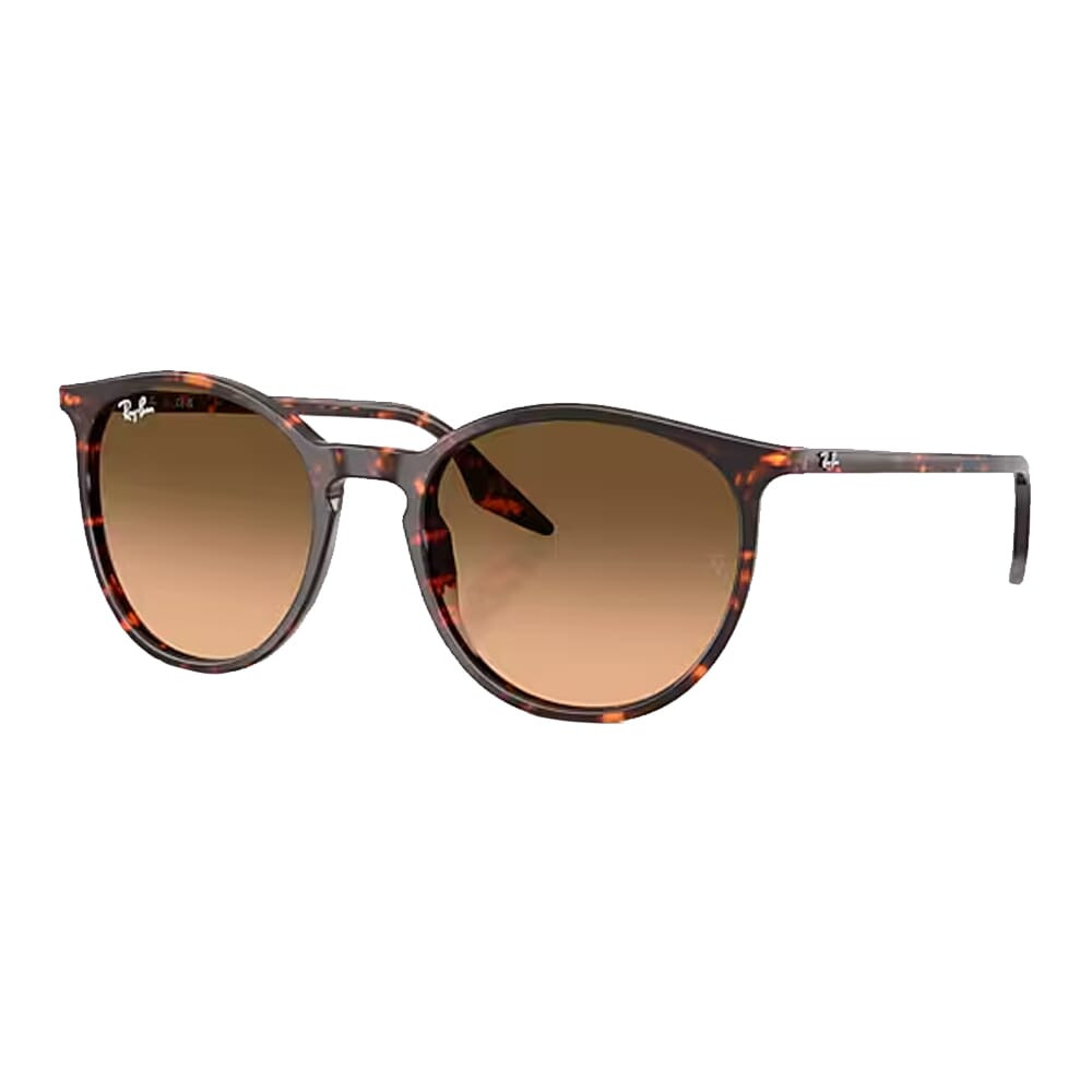 Ray-Ban Havana Red Turtle Pink Gradient Black 0RB2204-14293B51 - Ray-Ban