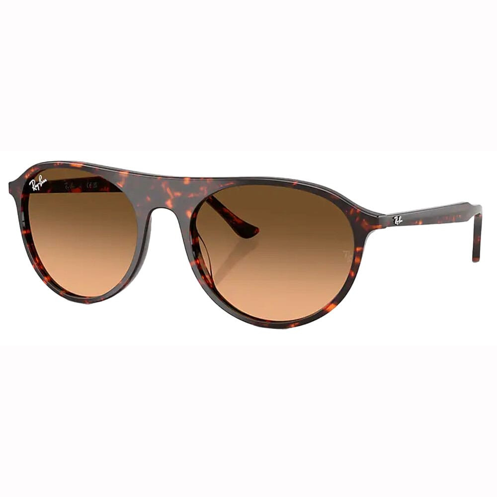 Ray-Ban Havana Red Turtle Pink Gradient Black 0RB2215-14293B56 - Ray-Ban