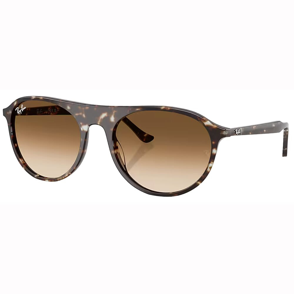 Ray-Ban Havana Yellow Turtle Clear Gradient Brown 0RB2215-14315156 - Ray-Ban