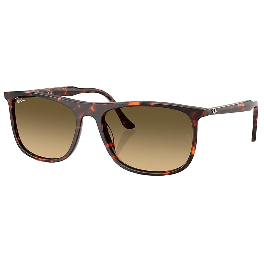 Ray-Ban Havana Red Turtle Brown Vintage Gradient Black 0RB2216-14290A58 - Ray-Ban