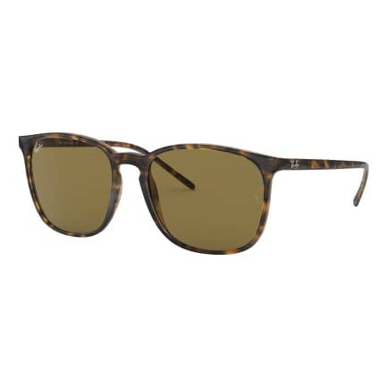 Ray-Ban Light Havana Dark Brown 0RB4387-7107356