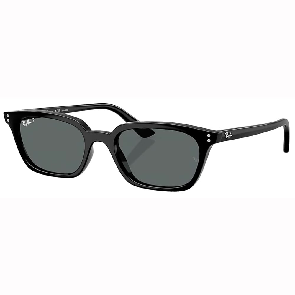 Ray-Ban Black Dark Grey Polar 0RB4456-66778150 - Ray-Ban