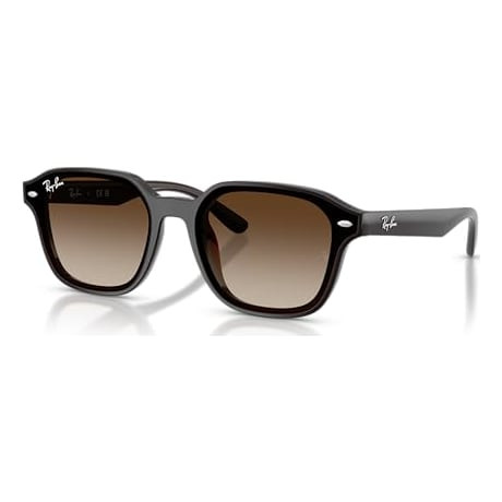Ray-Ban Transparent Dark Brown Gradient Brown 0RB4458D-7141365 - Ray-Ban