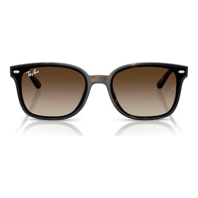 Ray-Ban Havana Gradient Brown 0RB4461D-7101364 - Ray-Ban