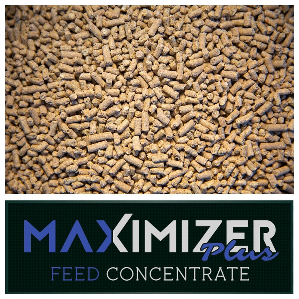 Real World Wildlife Products Maximizer Plus Feed Concentrate 50lb Bag MAXIMIZER-PLUS-FEED-CONCENTRATE-50LB - Real World Wildlife Products