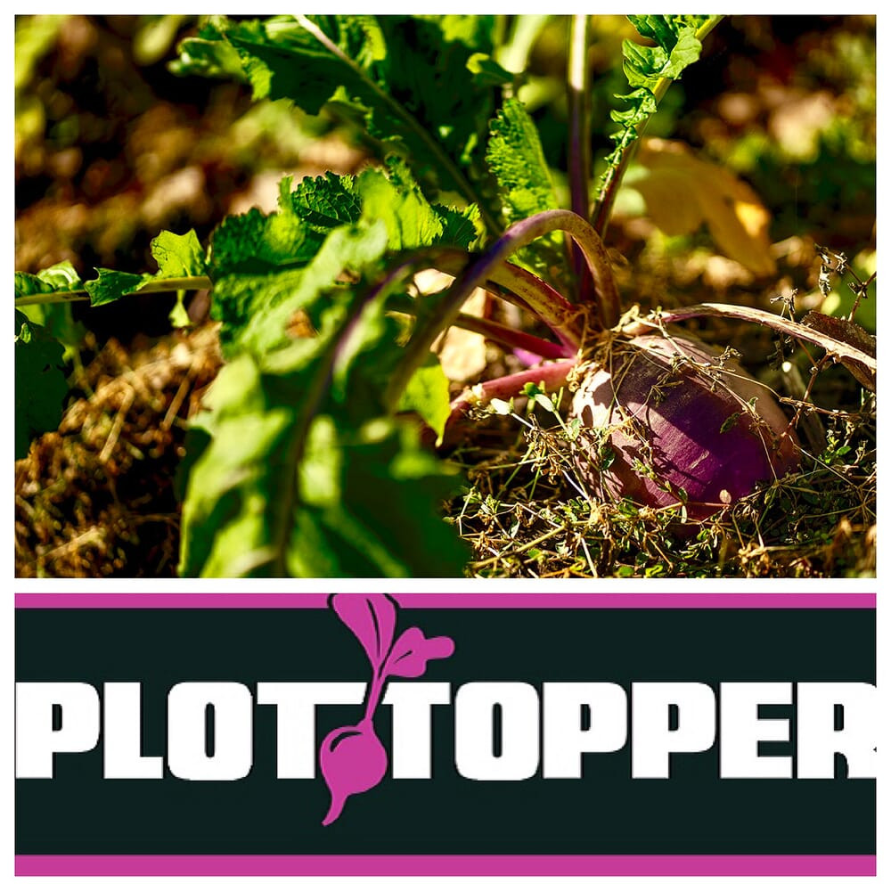 Real World Wildlife Products Plot Topper 4 Acres, 24lb Bag PLOT-TOPPER-24LB - Real World Wildlife Products