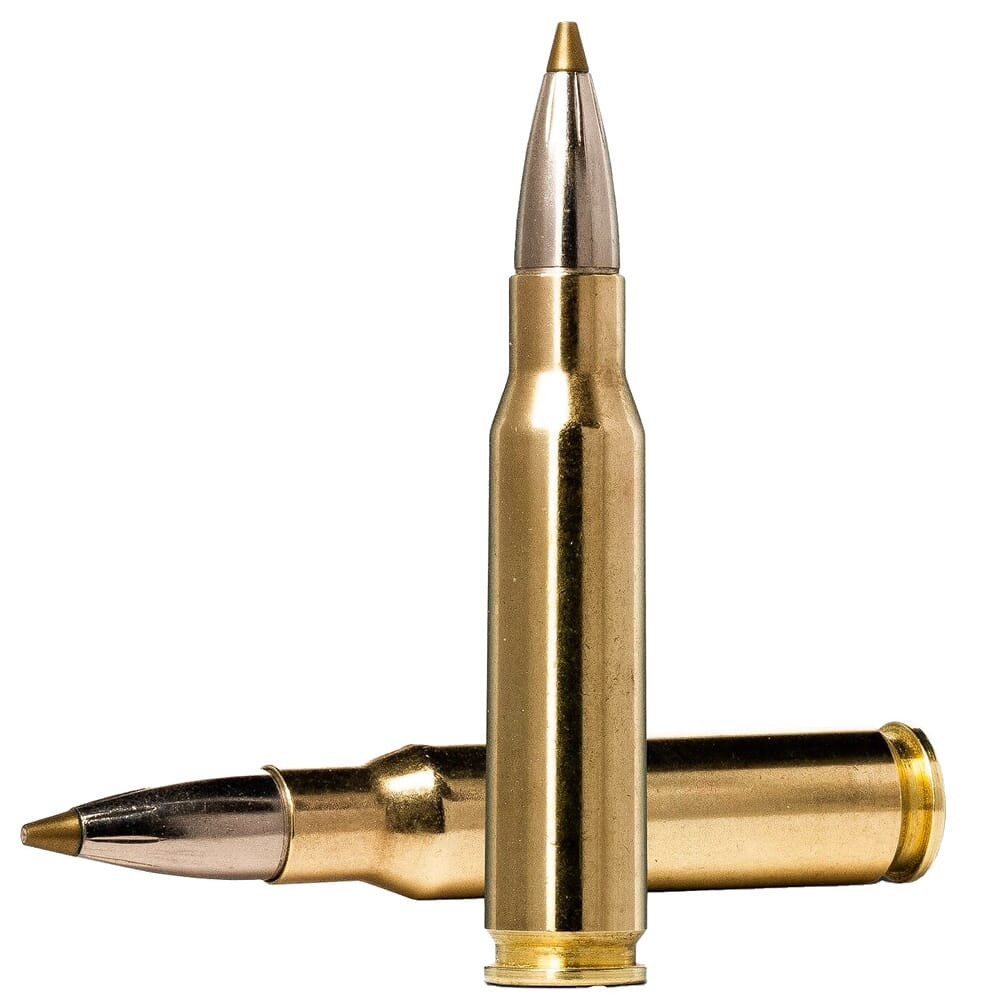Norma Ammo Norma EVOStrike .308 Win 139gr Centerfire Rifle Lead-Free Ammo (20/box) 20177352 - Norma Ammo