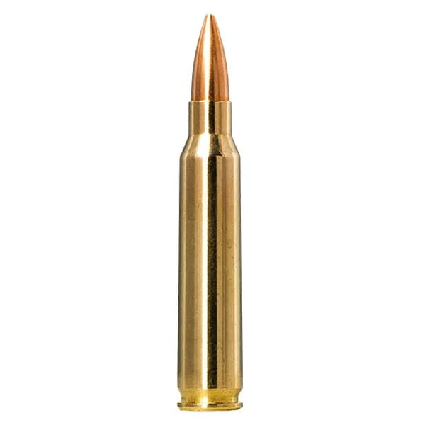 Norma Ammo Norma Golden Target .223 Rem 69gr Centerfire Rifle Ammo (20/box) 10157692 - Norma Ammo