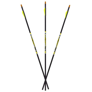 Carbon Express D-Stroyer .500 Arrows 6pk 51161 - Carbon Express