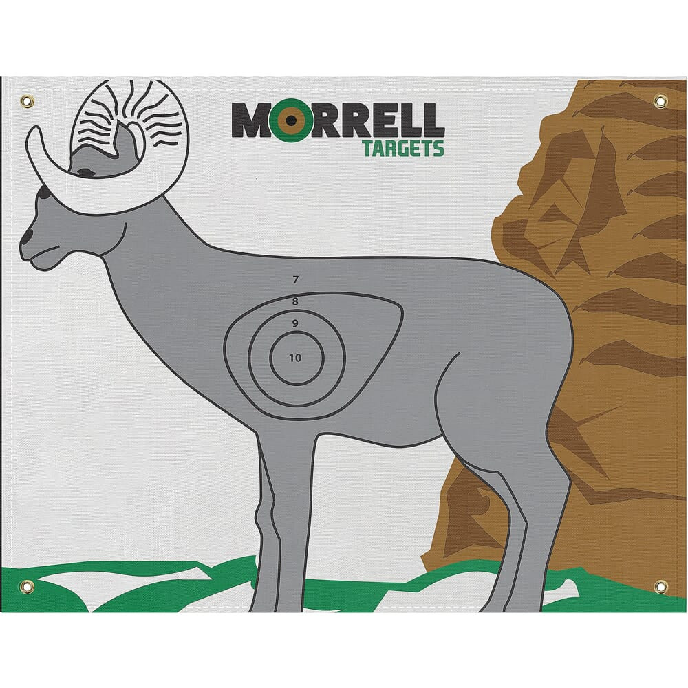 Morrell Targets Morrell NASP-IBO Ram Target Face 801 - Morrell Targets