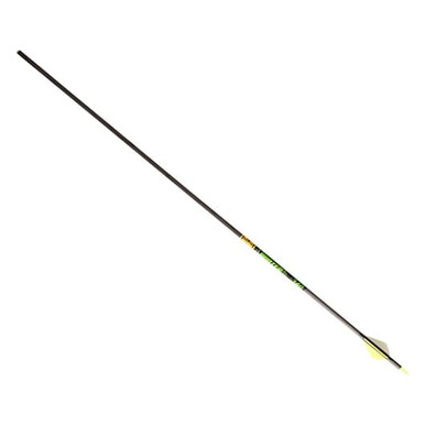 Gold Tip Hunter XT 340 Arrow w/2" Raptor Vanes 6pk HXT340A26 - Gold Tip