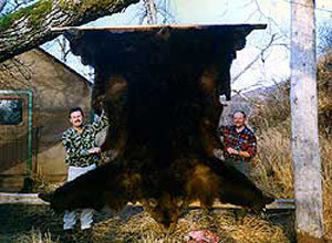 Kodiak Bear Hunt Dead Mans Bay 2011 - 