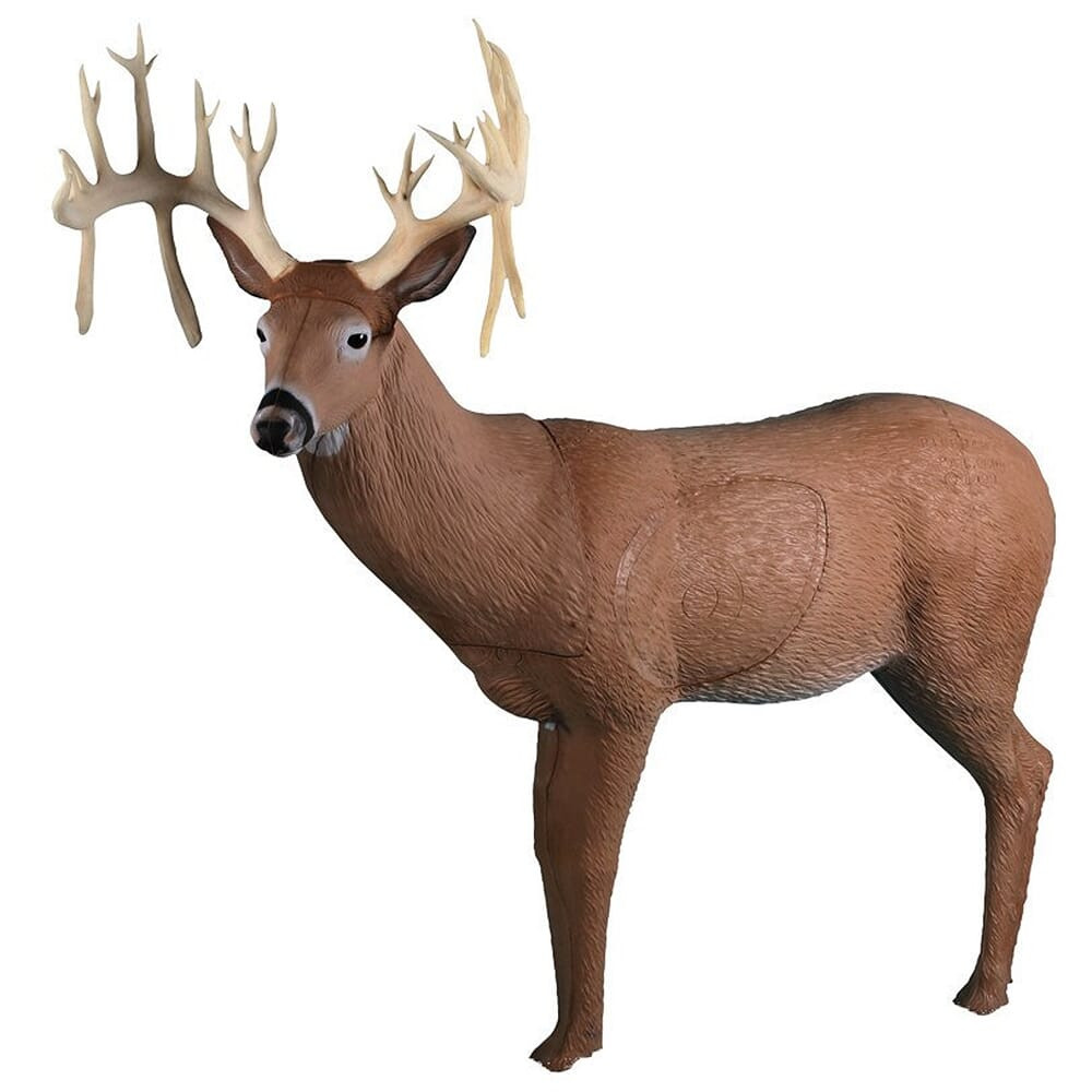 Rinehart Targets Rinehart 30 Point Buck Archery Target 157 - Rinehart Targets
