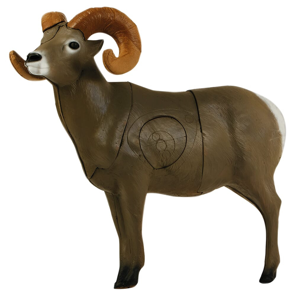 Delta McKenzie Targets Delta McKenzie Pro Series Bighorn Sheep Target 21550 - Delta McKenzie Targets