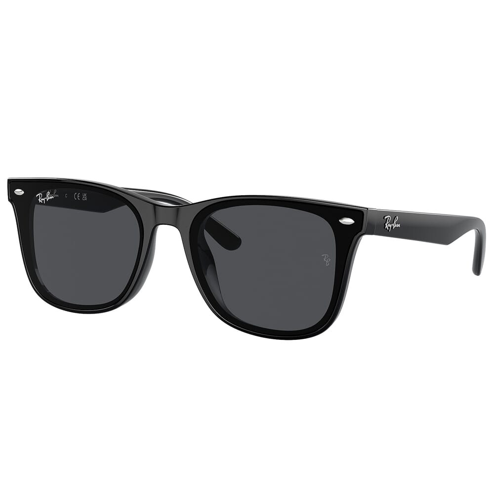 Ray-Ban 0RB4420 Black Sunglasses w/Dark Gray Lenses 0RB4420-601/87-65 - Ray-Ban