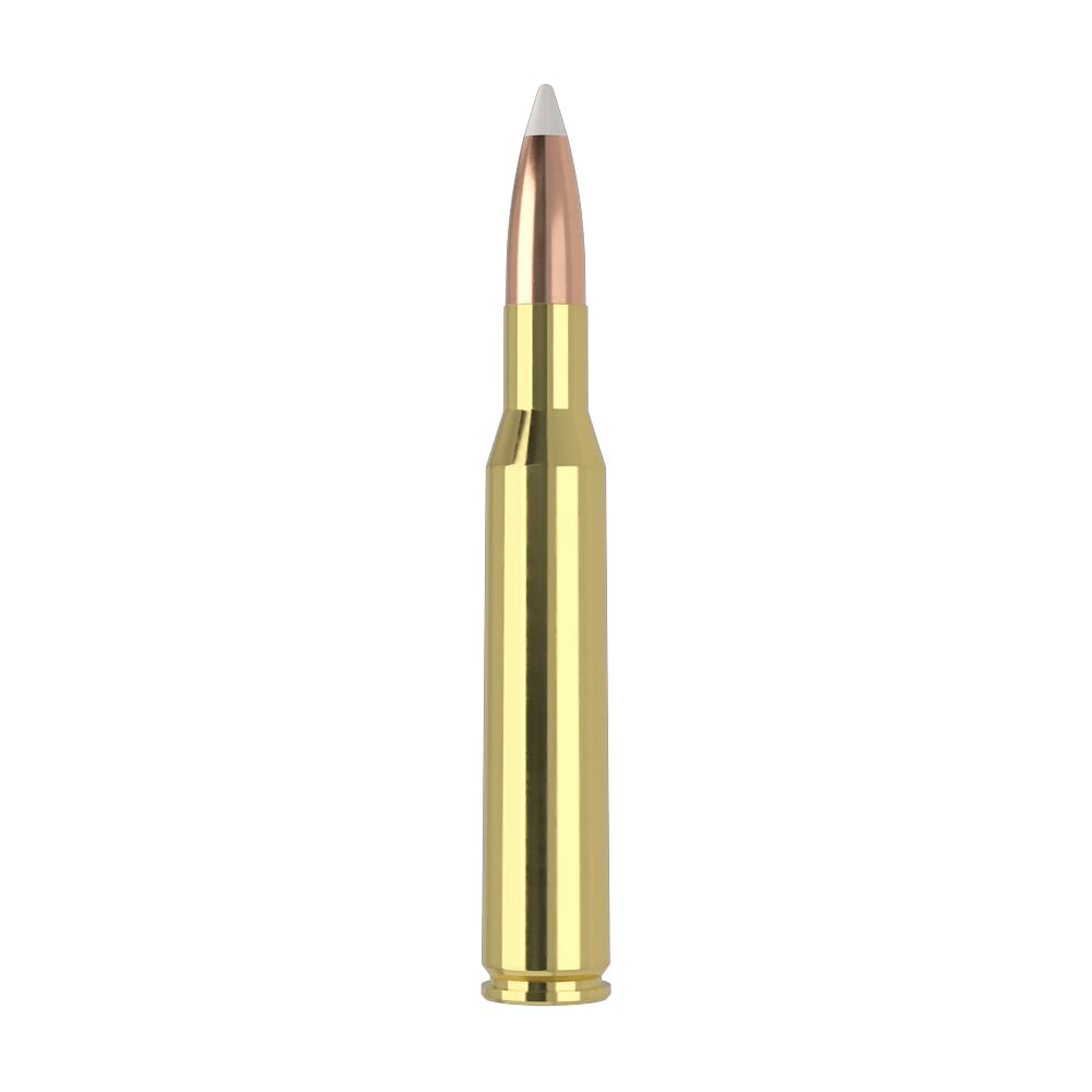Nosler Trophy Grade TGA-270 Win 130g AB SP (20ct) Ammunition 60025