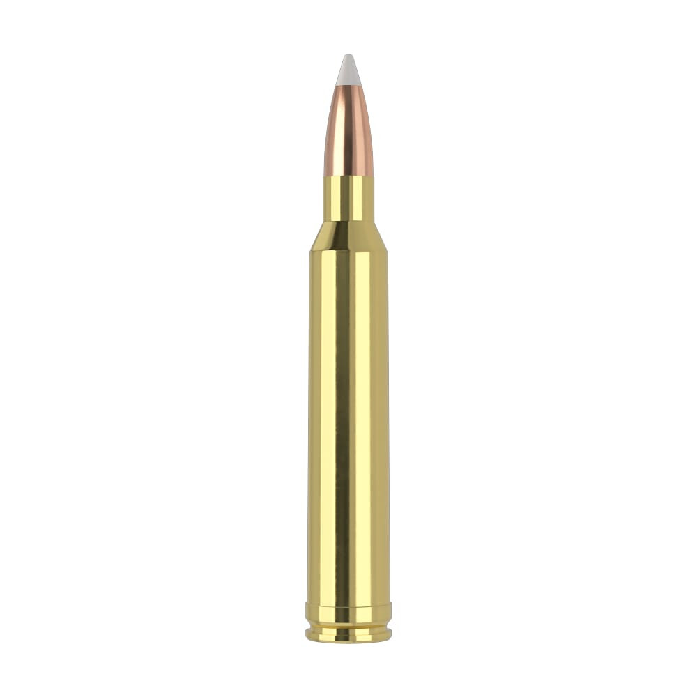 Nosler Trophy Grade TGA-7mm STW 160g AB SP (20ct) Ammunition 60047