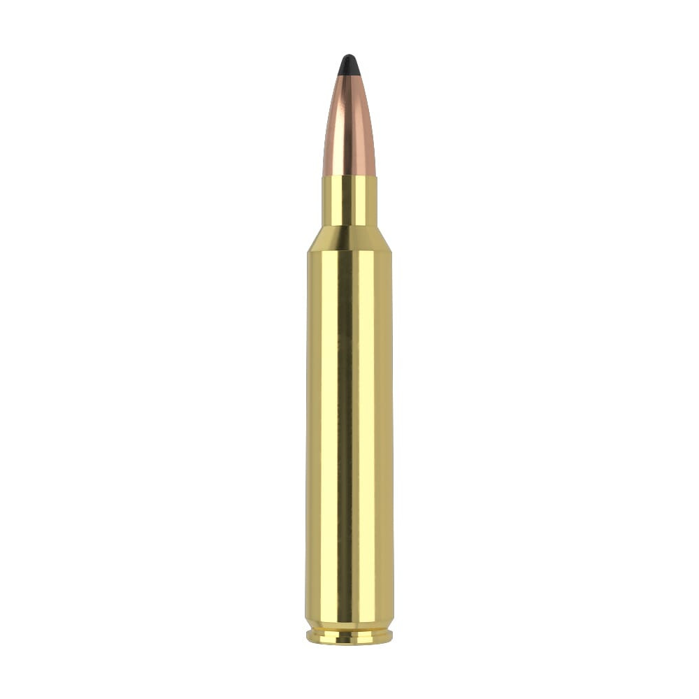 Nosler Trophy Grade TGA-300 RUM 165g PT SP (20ct) Ammunition 60064
