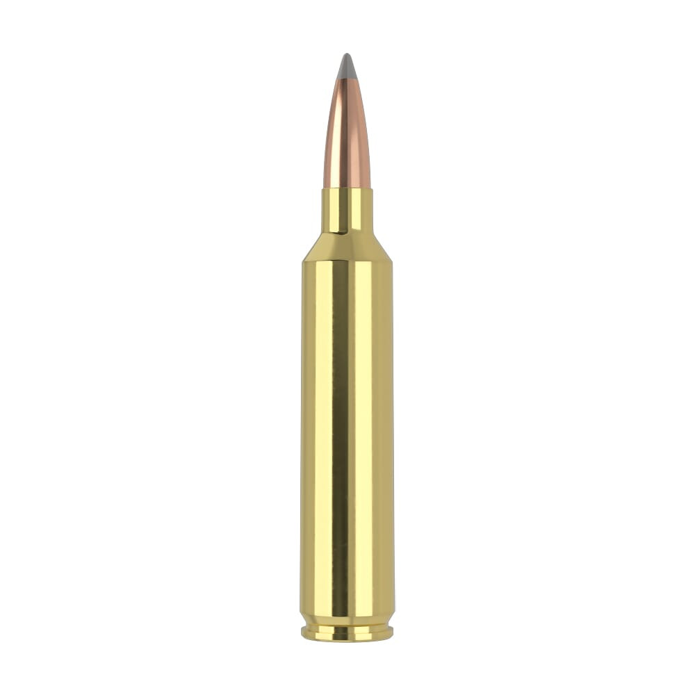 Nosler Trophy Grade (Long Range) TGA-26 Nosler 150g ABLR SP (20ct) Ammunition 61052